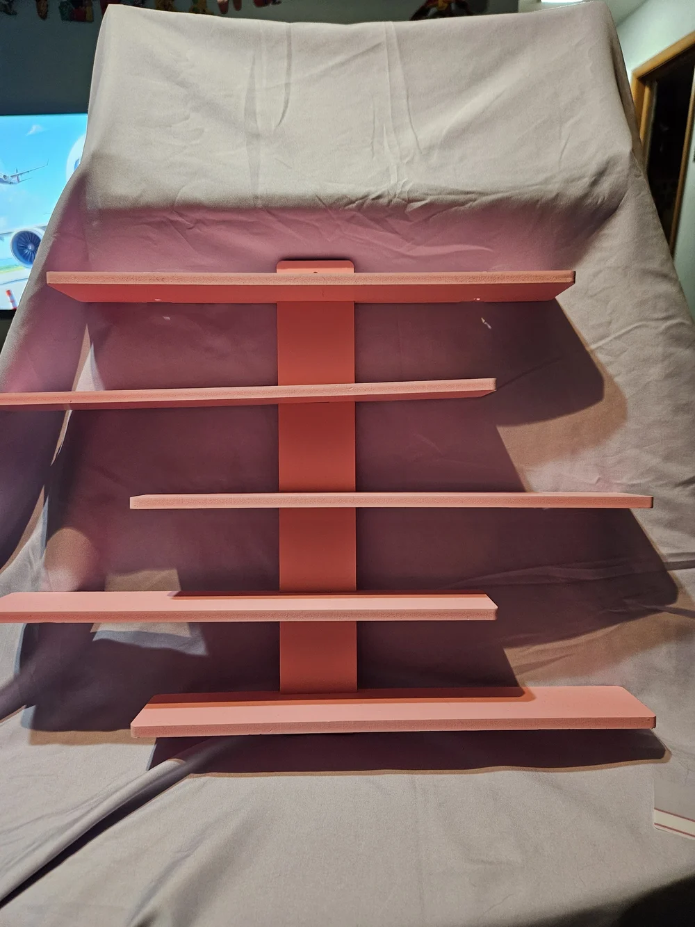 Coral Wall Display Shelf - Home Wall Decor